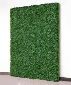 3x8 Boxwood Wall