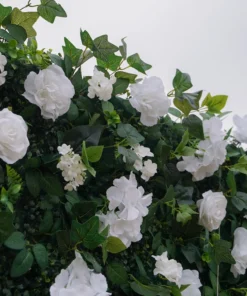 8x8 Flower Wall (Green/White)